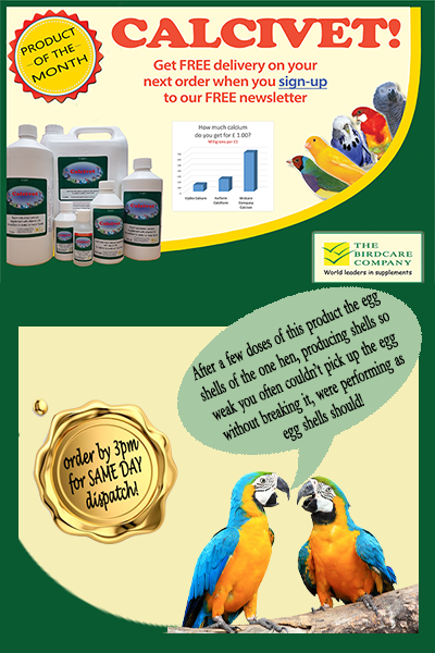 calcivett-home-page-with-testimonial.png calcivett-home-page-with-testimonial.png