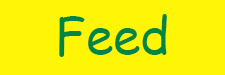 feed-new.png feed-new.png