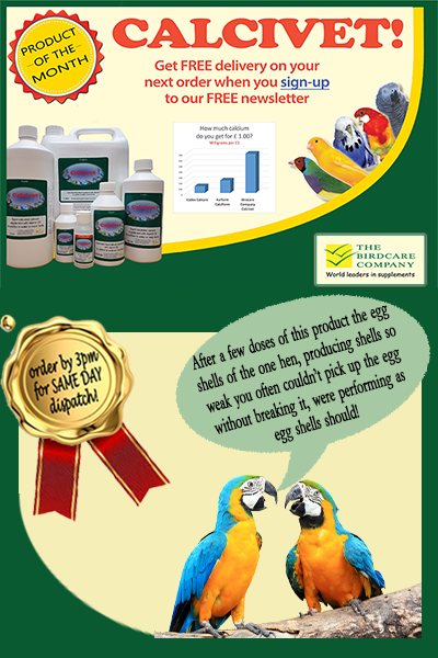 newcalcivet-home-page-with-testimonial.png newcalcivet-home-page-with-testimonial.png